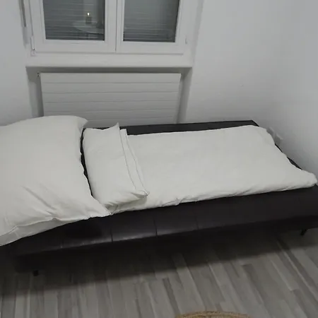 Aare 1 Διαμέρισμα Ιντερλάκεν